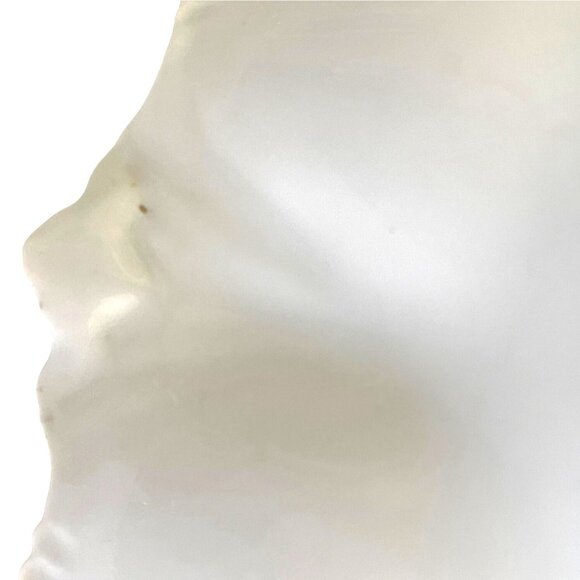 RS Prussia Porcelain Celery Relish Serving Dish Pink Rose Flower Floral Antique - Picture 10 of 15